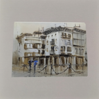 Plazako bidaia-egunkaria